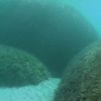 underwater artificial reef displaying the living speed bump approach