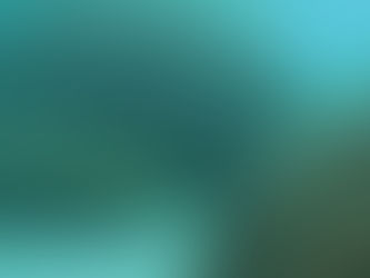 Living Speed Bumps: Our Innovative Approach to Coastal Resilience