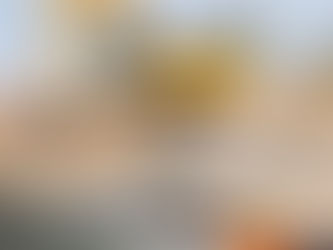 Gold Coast Seawalls: A Guide to Protecting Beachfront Property