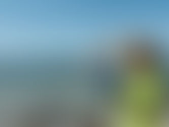 ICM coastal engineers looking at islands across the ocean