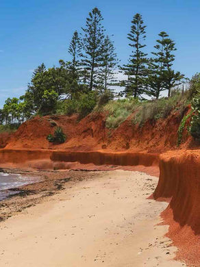 coastal cliff stabilisation at redcliff