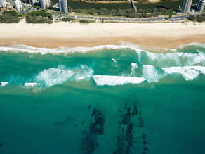 How Artificial Reefs Can Reduce Erosion and Enhance Coastal Resilience