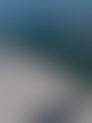 Umm Al Quwain Fishing Harbour Expansion