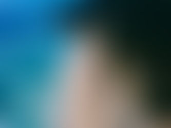 The Power of Adaptation: Nature-Based Solutions in Addressing Climate Change