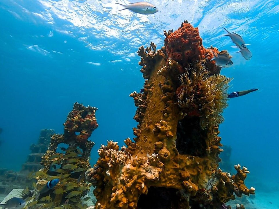 Grand Anse Artificial Reef Project