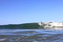 HIGH LINE by Form Surfboards