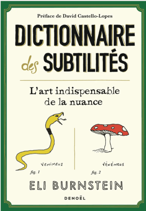 Couverture du livre Dictionnaire des subtilités d’Eli Burstein