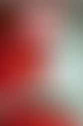 Couverture du livre Le Croquemort d'Olivier Merle