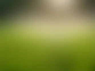 How long should sprinklers run in each zone? A no-math scheduling guide 💧