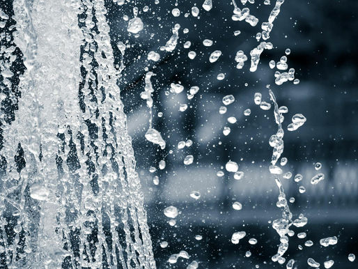 Effortless Pet Fountain Cleaning: Homeowner's Guide