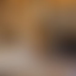 Cozy log cabin interior featuring a warm stone fireplace, patterned sofas, and rustic wooden accents, creating a welcoming atmosphere.