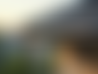 Sunset casts a warm glow on a modern roof with sleek black gutters, highlighting the architecture against a serene backdrop.