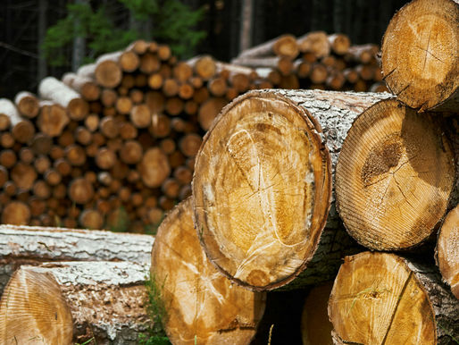 Lumber Conversion Guide: DIY Home Project Success 🪚