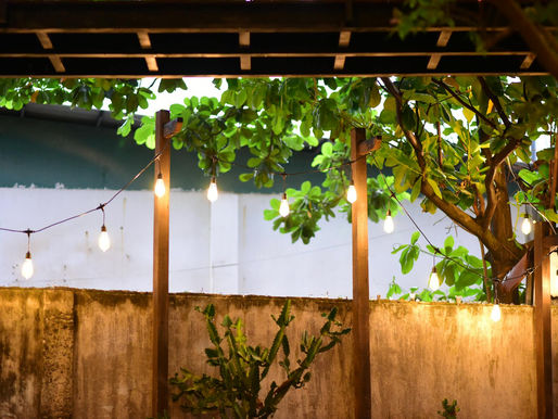 Budget Backyard Landscaping: DIY Home Improvement