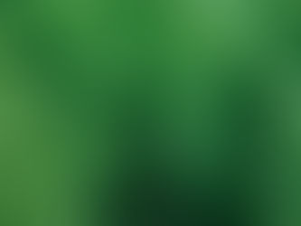 7 Emerald Green Arborvitae Planting: A DIY Guide