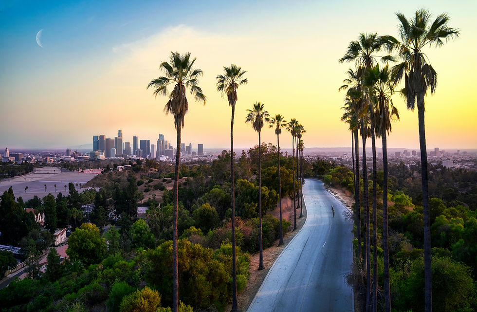 Road going through Los Angeles. Palm trees along the side of the road.with a sunrise in the background.