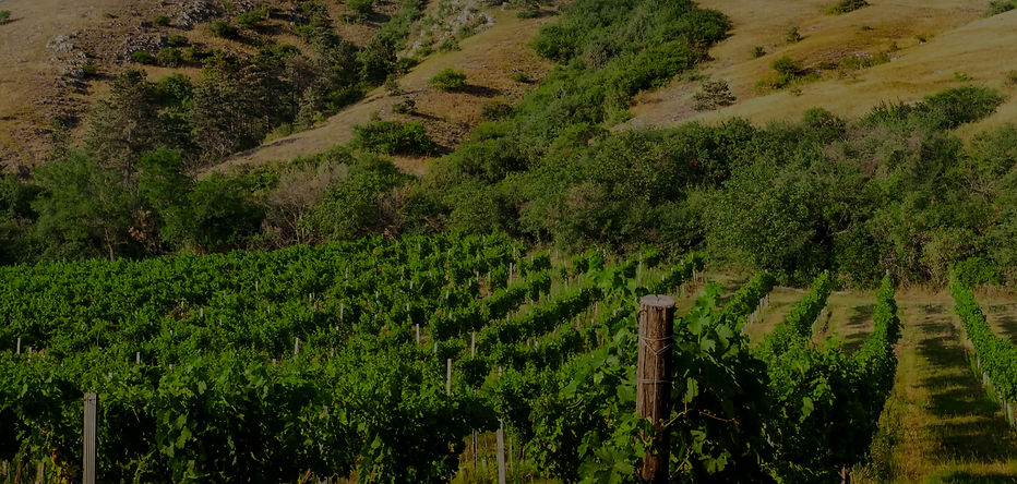 PG_NorthernCalifornia.jpg