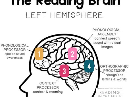 Orthographic Mapping: Essential for Skilled Reading