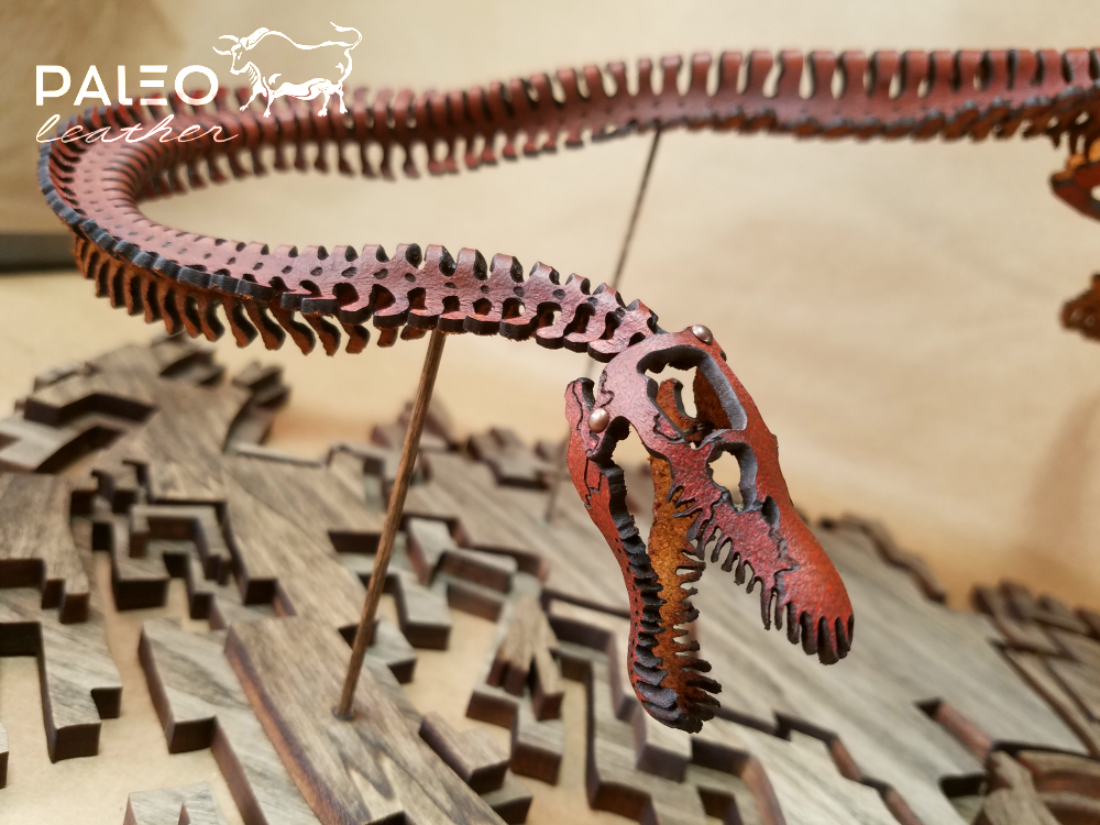 plesiosaur, paleoleather, leatherart, paleoart, seamonster, leatherkit, seadragon, orthocone, leathersculpture, paleoartist, skelosaurz