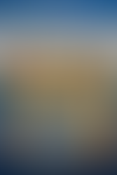 Should You Add Life Insurance to Your Estate Plan?