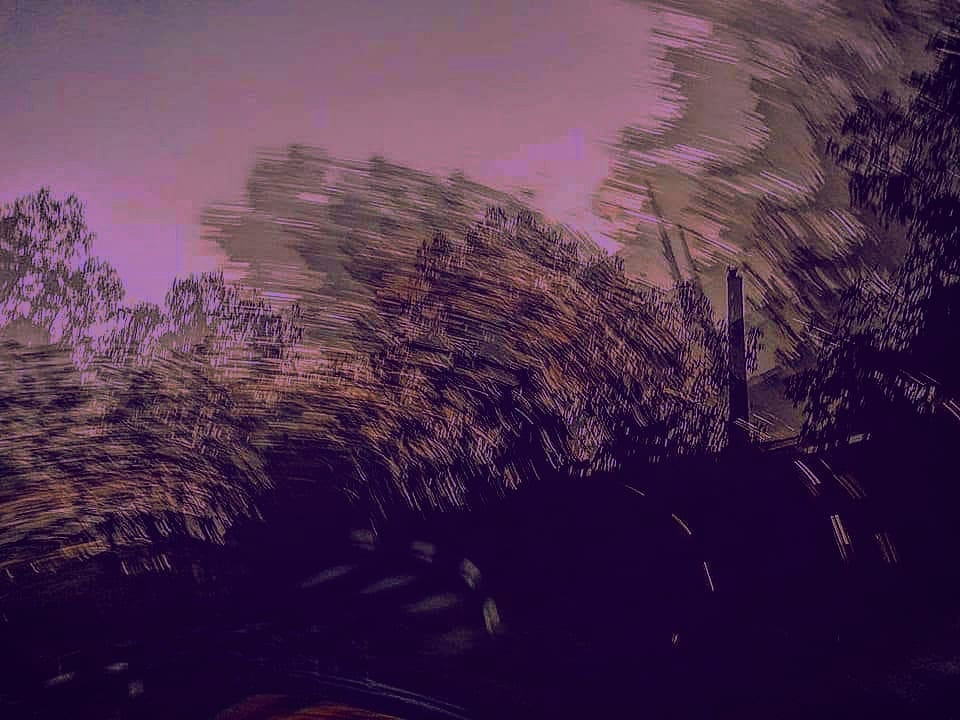 ree