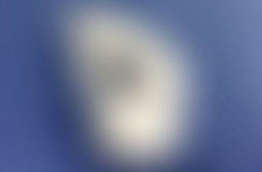 C'est la rentrée de l'initiation au Dessin
Dessiner un objet non-identifiable sur
du papier froissé