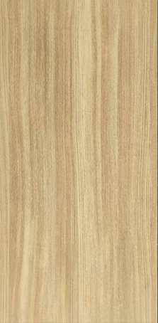 PINE.png