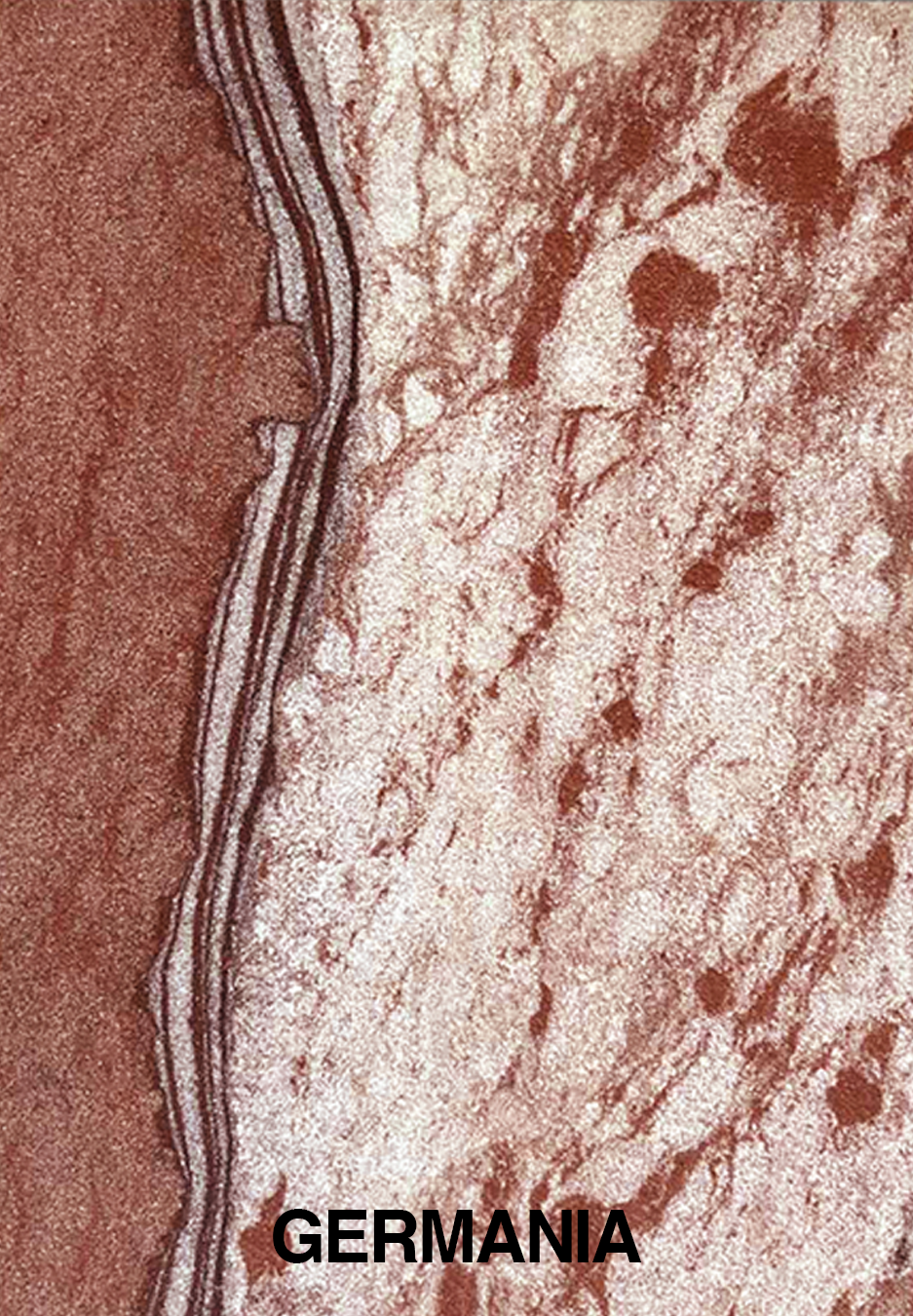 Thumbnail: ARENARIA SANDSTONE