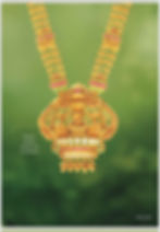 WhatsApp Image 2025-07-25 at 3.45.11 PM (3).jpeg