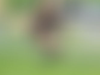 Athlete with a prosthetic leg mid-air during a long jump on a sunny track field. Wearing a black uniform, showing determination.