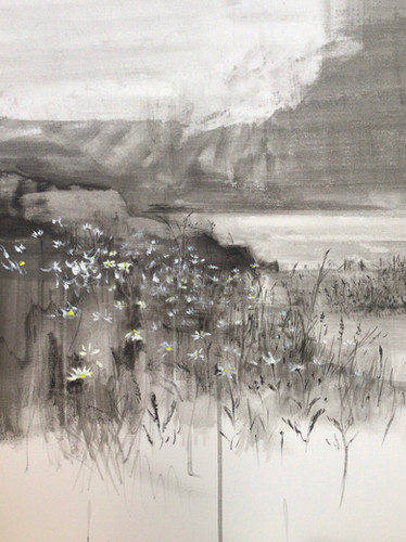 'Wild Daisies, late evening'. Box Canvas. Acrylic. 60cm square.