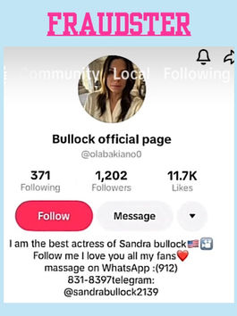FAKE SANDRA BULLOCK