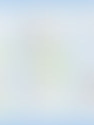 TEXTING CHAT WITH FAKE PRINCE OF DUBAI