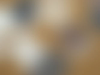 2026 Earth Tones: Master Nature's Palette