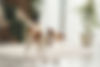 istockphoto-2208800630-612x612.jpg