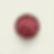 Ecopet_raw_meat_bowl