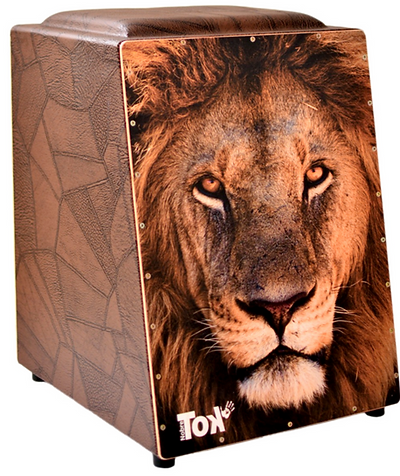 207 - Cajón Elétrico Leão_edited_edited.png