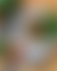 Спагетти со шпинатом