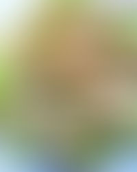 Блины с начинкой. Праздничная подача