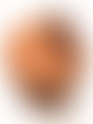 Муссовый торт с банановым компоте и шоколадным кремю