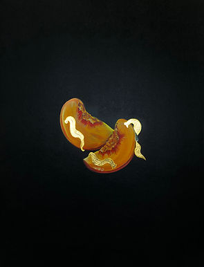 leeches on peach sleeces.JPG