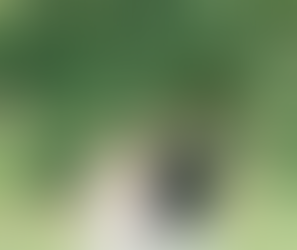 Corey Allen Photography Outfit Idea couples photo shoot 2027 2026