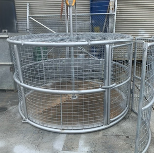 Feral Pig Trap Queensland Australia