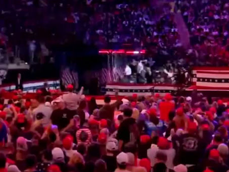 Alina Habba - The President's Lawyer