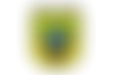 XII Sesja Rady Gminy -temat rampy