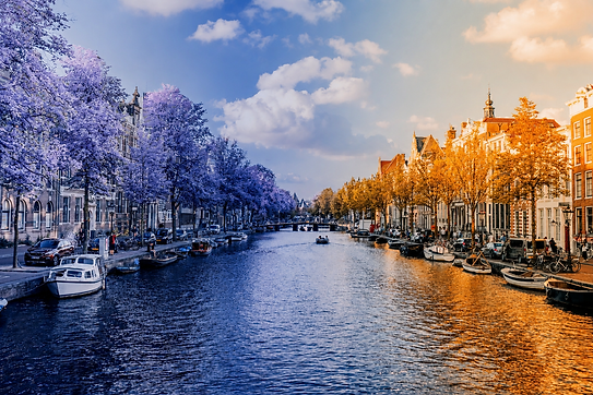 Photo Amsterdam pour site web 3.png