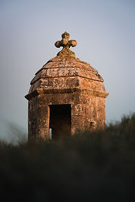 IJ8A8428.jpg