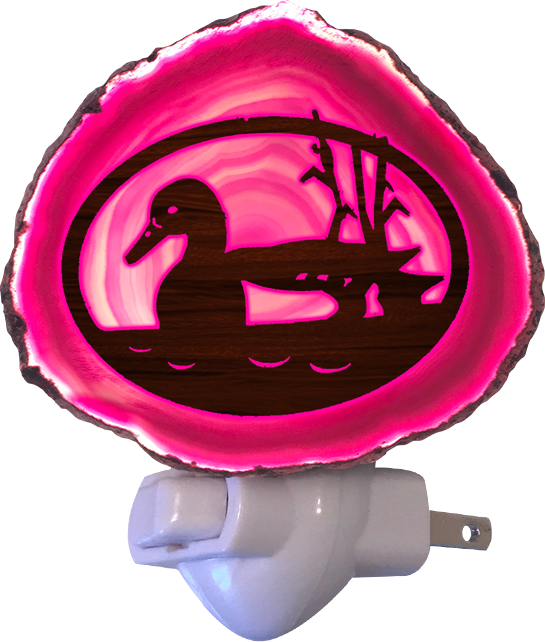 Thumbnail: The Duck