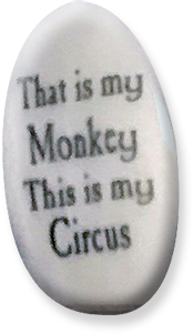 This is my Monkey. This is my Circus