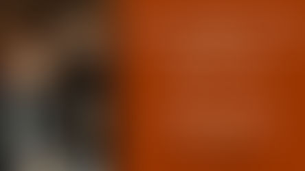 Remus Azoiței and Eduard Stan